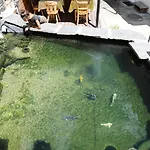 بيت ضيافة Garni Morettina 3*