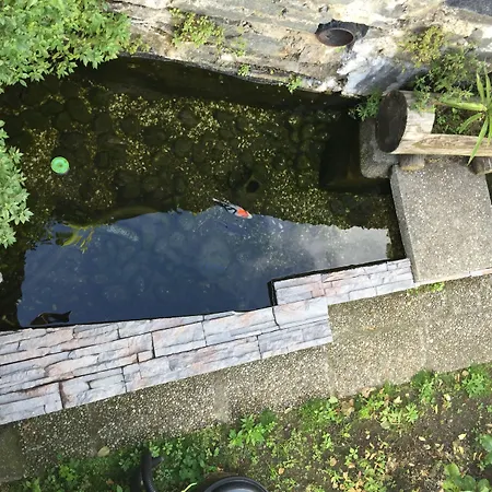 Garni Morettina Гостевой дом Бриссаго