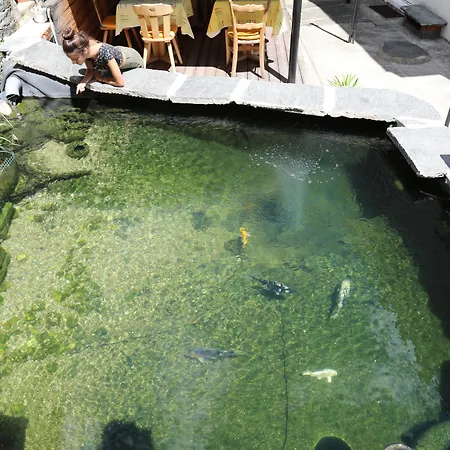 Гостевой дом Garni Morettina 3*