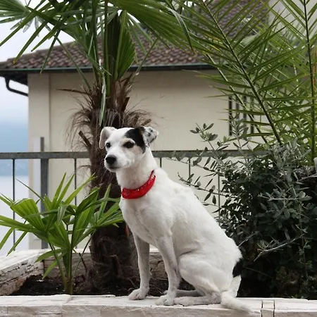 Garni Morettina Гостевой дом