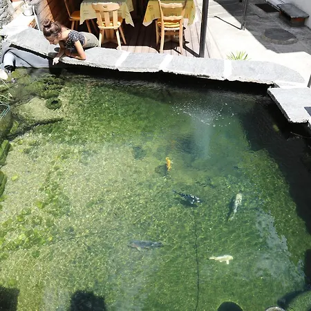 Guest house Garni Morettina Brissago