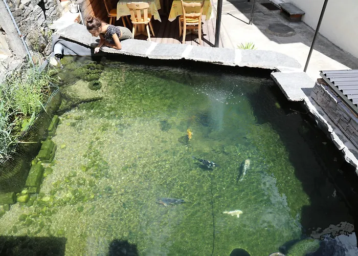 Casa de hóspedes Garni Morettina 3*