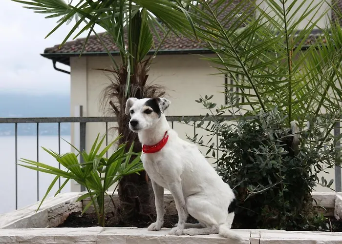 Garni Morettina Pensión